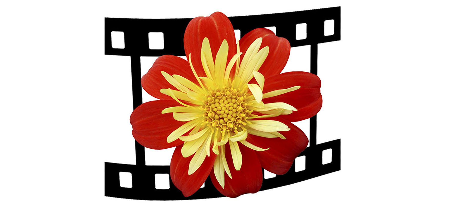 БАГЕТНЫЕ РАБОТЫ