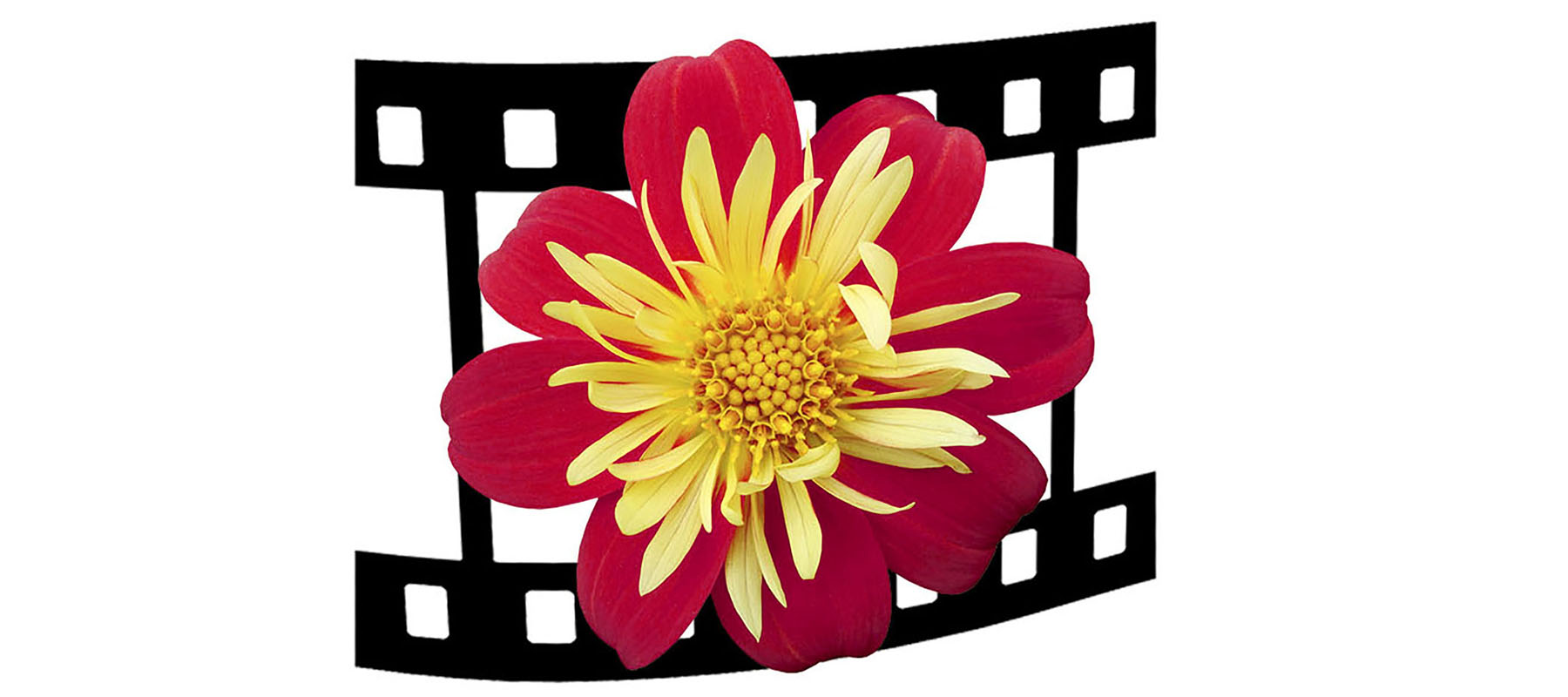 ПЕЧАТЬ ФОТОГРАФИЙ