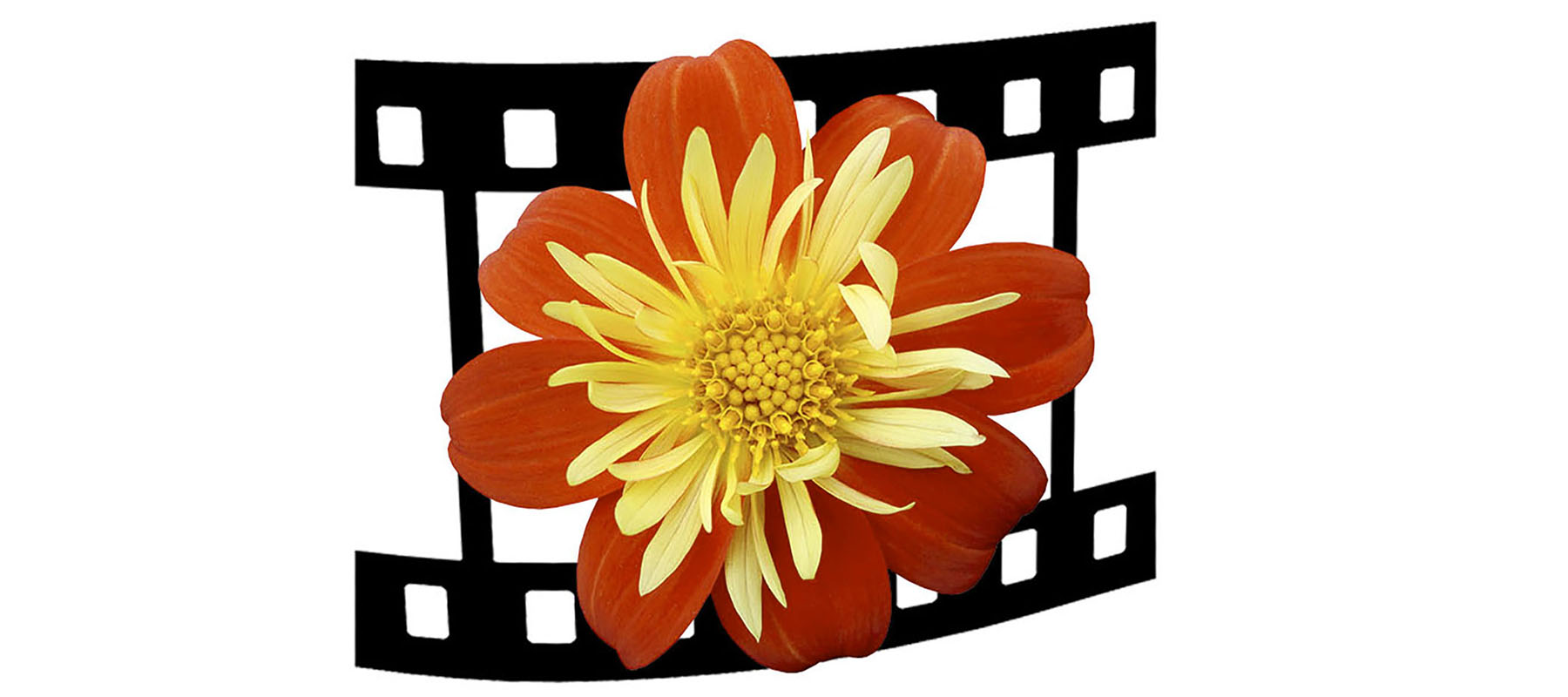 ФОТО НА ДОКУМЕНТЫ